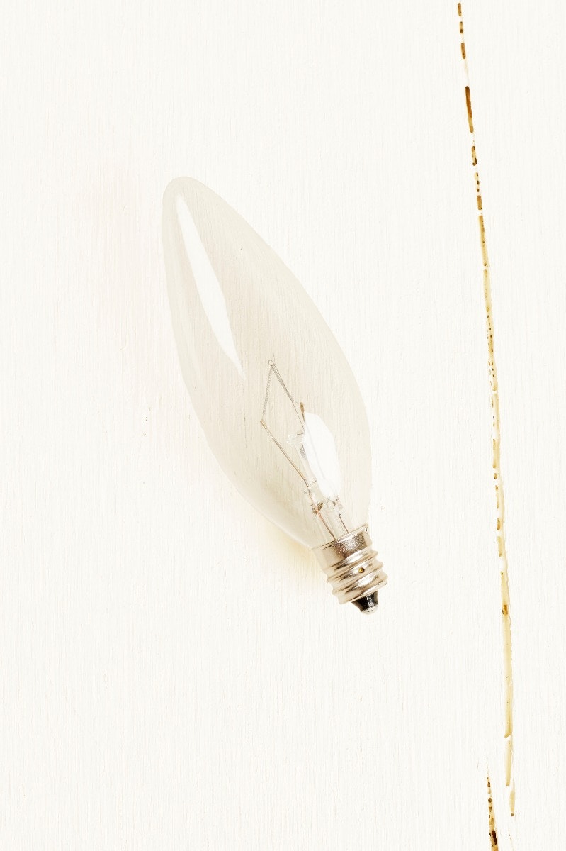 40W Replacement Light Bulb Earthbound Trading Co