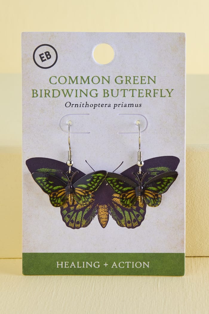 Green Birdwing Butterfly Earrings